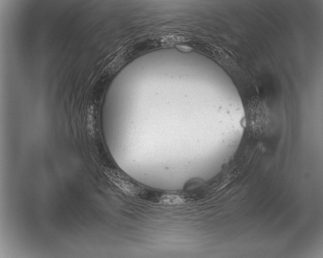 X0000052610519200507081850