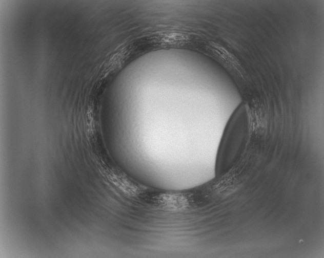 X0000052610520200507081850