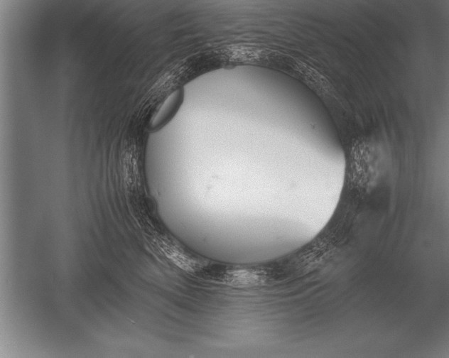 X0000052610522200507081850