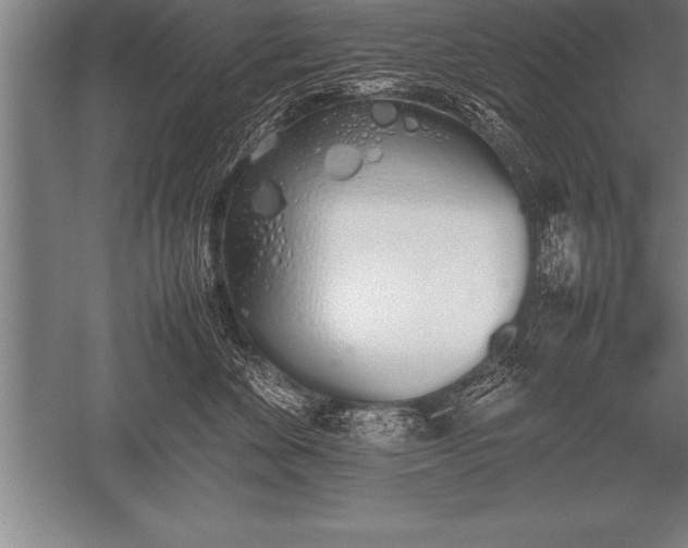 X0000052610524200507081850