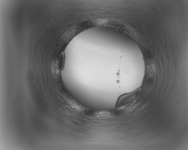 X0000052610525200507081850