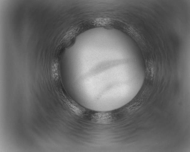 X0000052610526200507081849