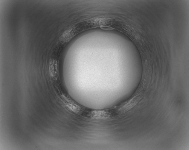 X0000052610528200507081849