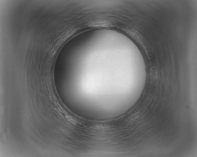 X0000052610529200507081849