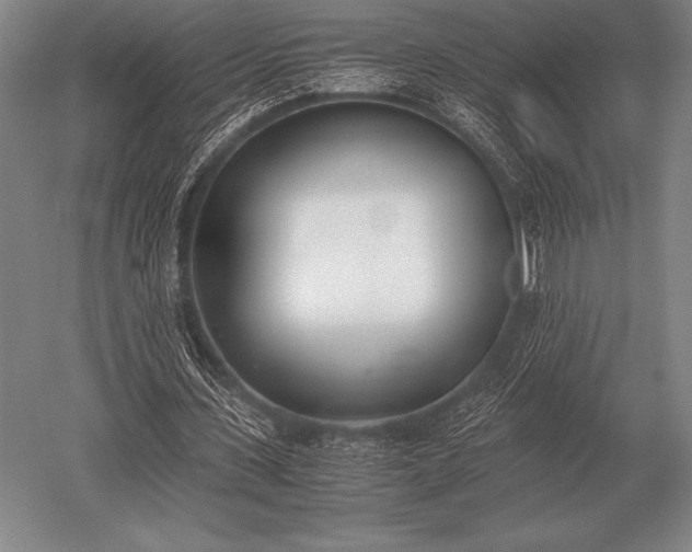 X0000052610531200507081849