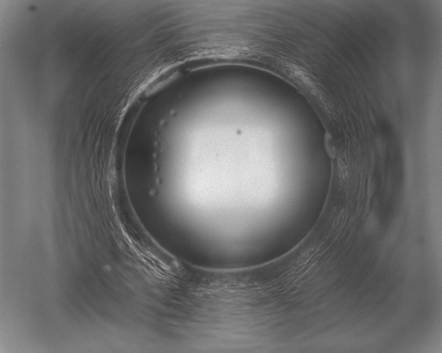 X0000052610532200507081849