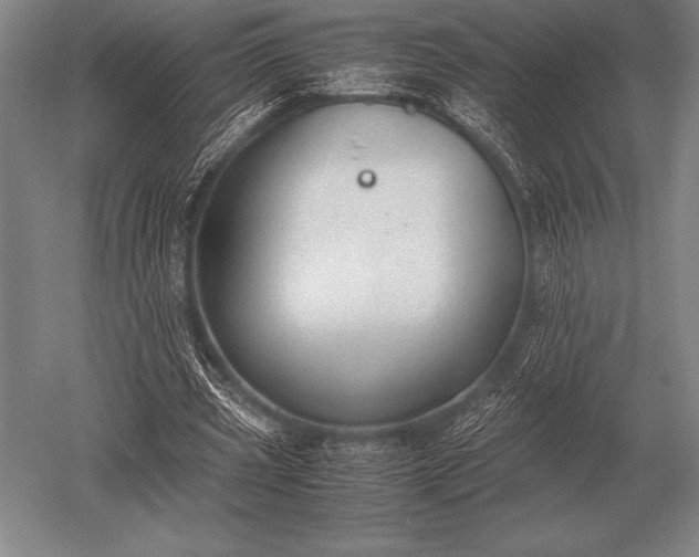 X0000052610533200507081849