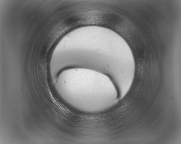 X0000052610534200507081849