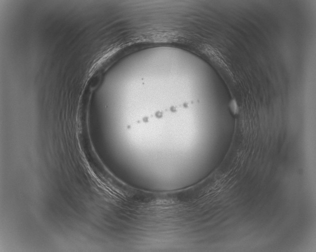 X0000052610536200507081849