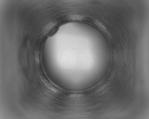 X0000052610537200507081849