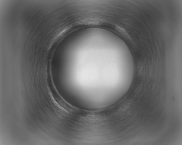 X0000052610538200507081849