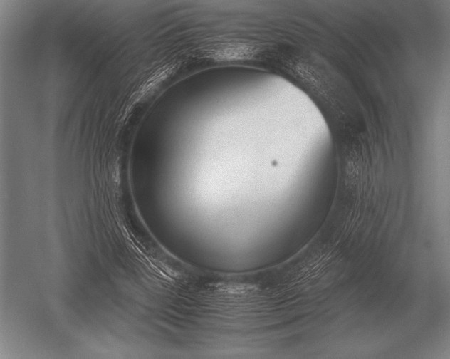 X0000052610539200507081849