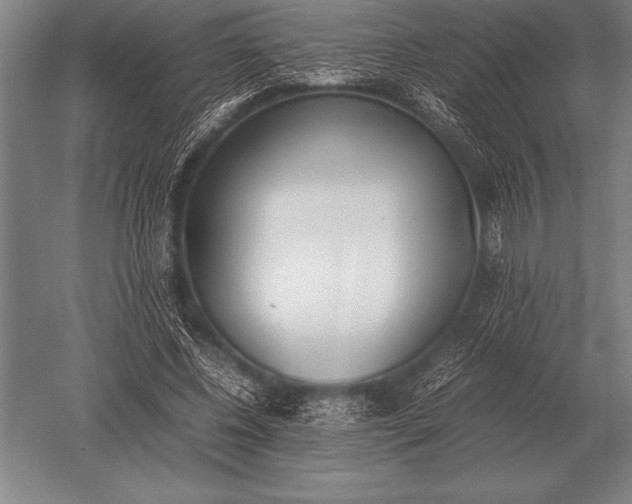 X0000052610540200507081849