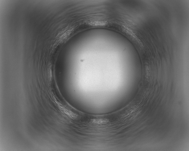 X0000052610541200507081849