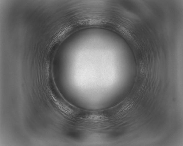 X0000052610542200507081849