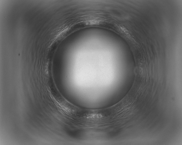 X0000052610543200507081849