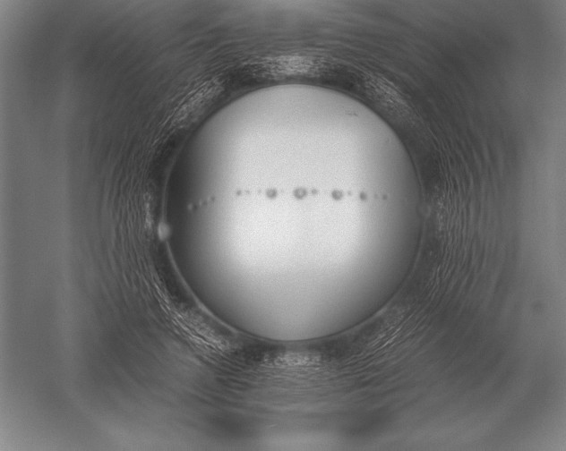 X0000052610546200507081849