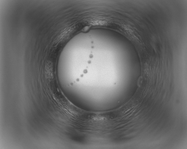 X0000052610547200507081849