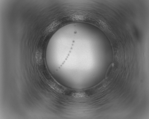 X0000052610548200507081849