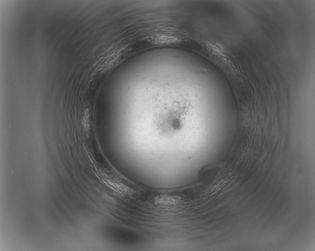 X0000052610549200507081849