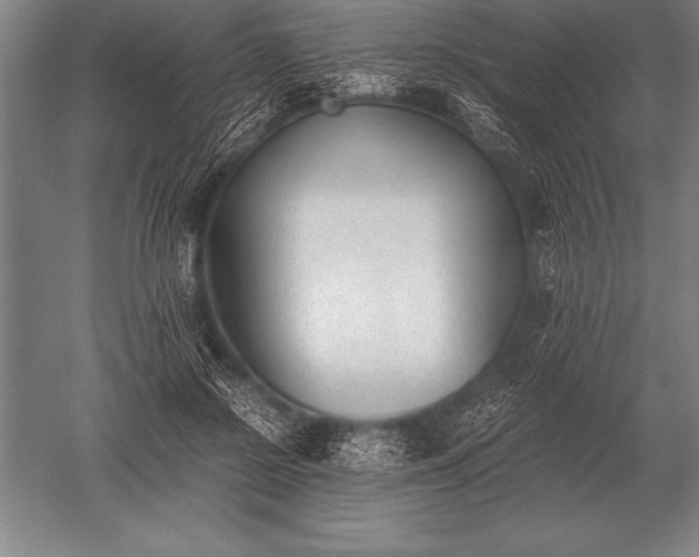 X0000052610550200507081849