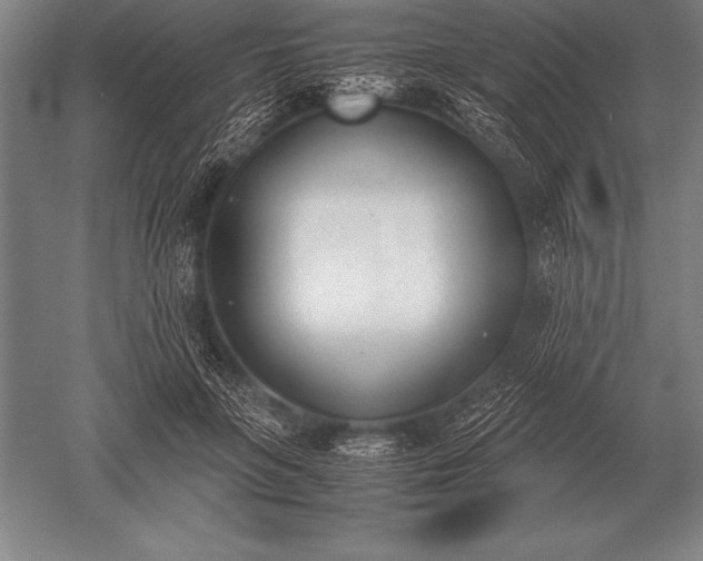 X0000052610551200507081849