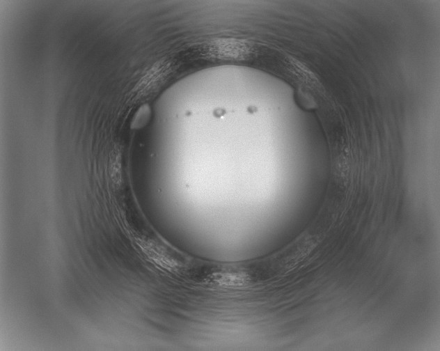 X0000052610552200507081849