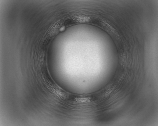 X0000052610553200507081849