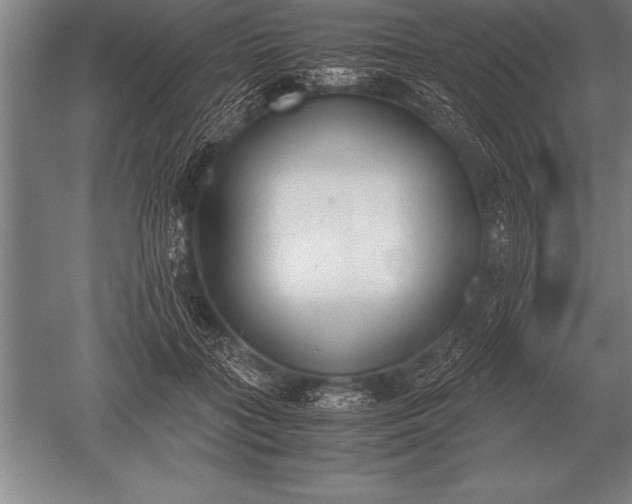 X0000052610555200507081849