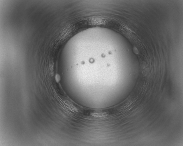 X0000052610556200507081849