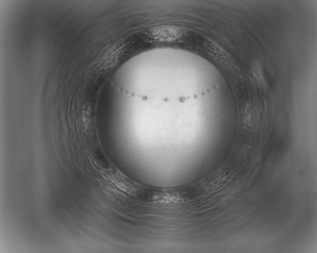 X0000052610559200507081849