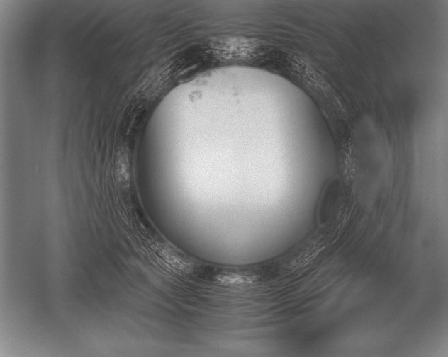 X0000052610561200507081849