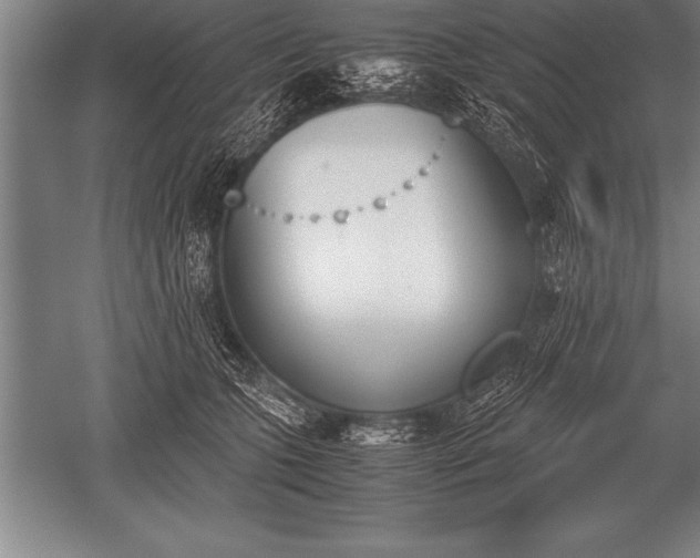 X0000052610563200507081849