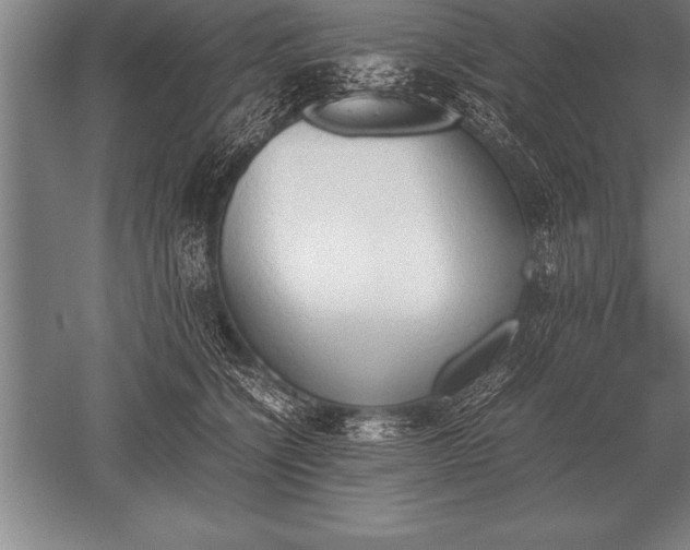 X0000052610564200507081849