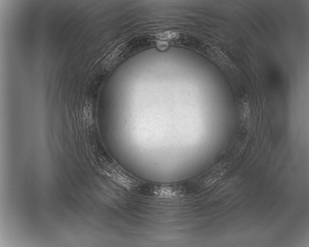 X0000052610565200507081849