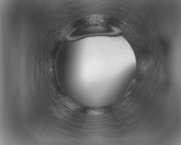 X0000052610567200507081849