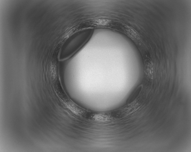 X0000052610568200507081849