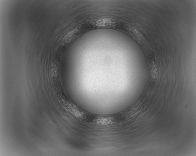 X0000052610569200507081849