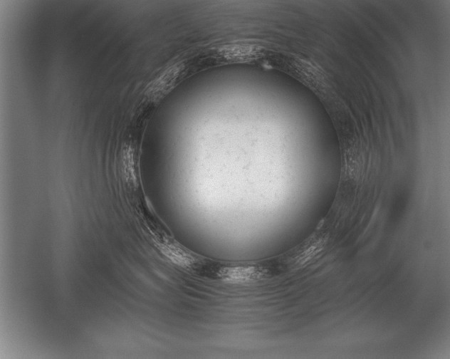 X0000052610575200507081849