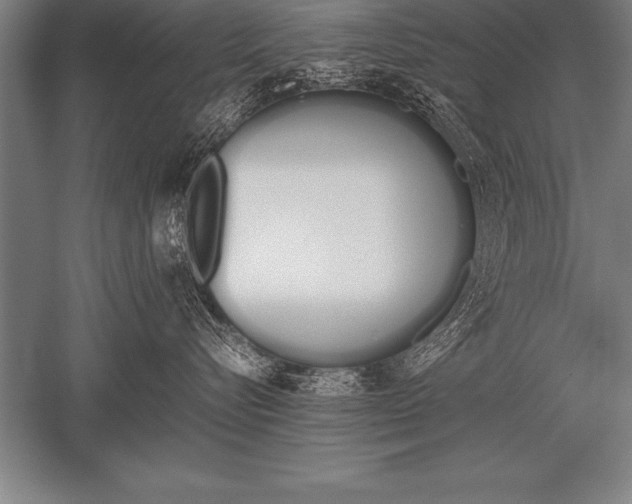 X0000052610576200507081849