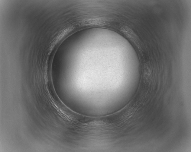 X0000052610578200507081849