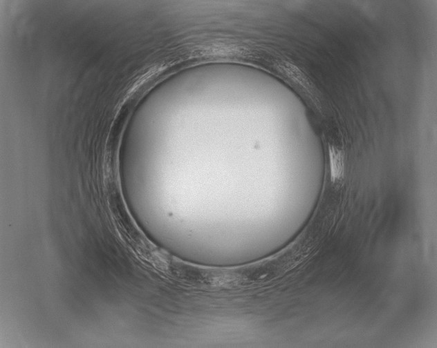 X0000052610579200507081849