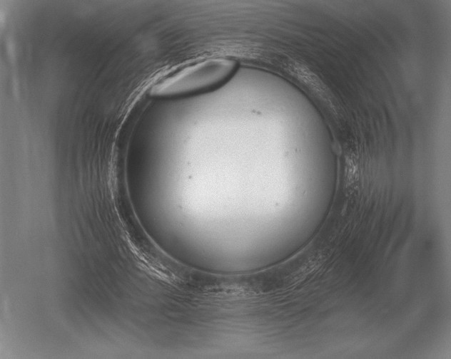 X0000052610580200507081849