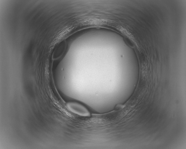 X0000052610581200507081849