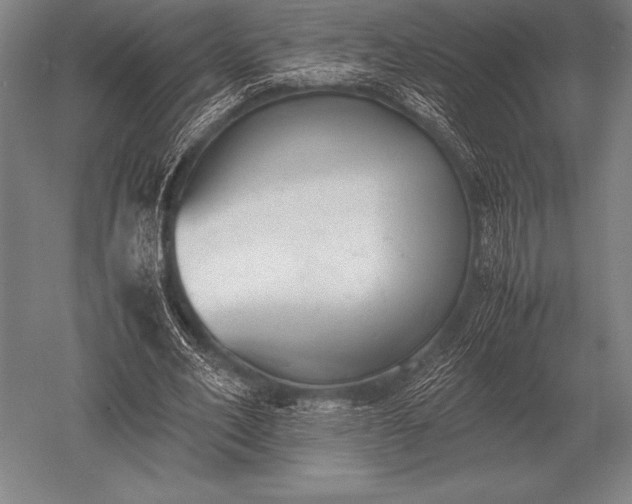 X0000052610582200507081849