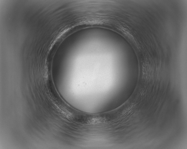 X0000052610584200507081849