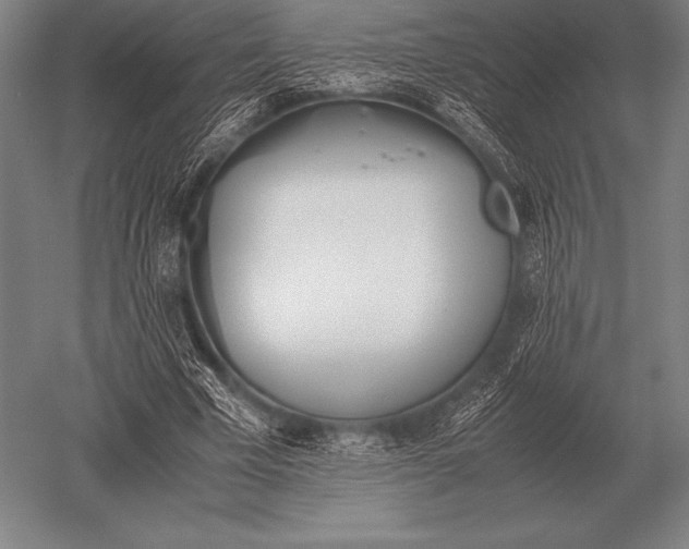 X0000052610585200507081848