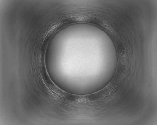 X0000052610587200507081848