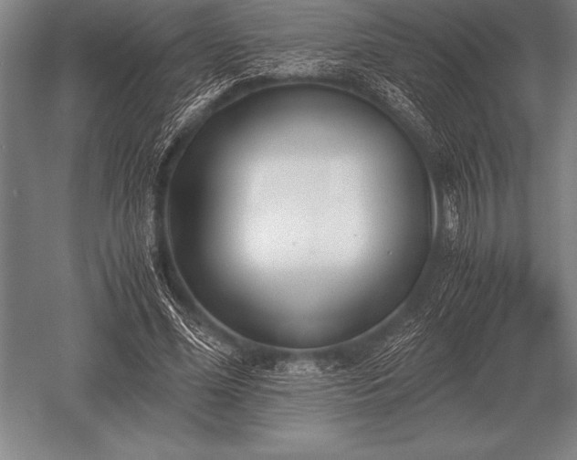 X0000052610588200507081848