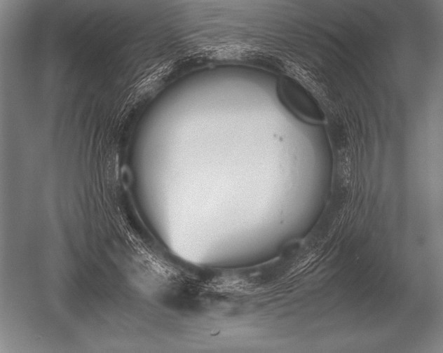 X0000052610589200507081848